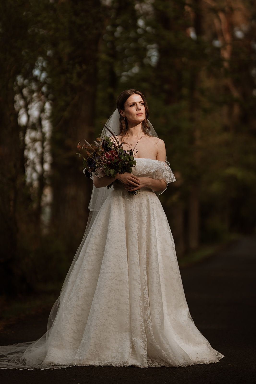 Bronwen